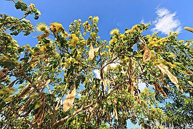 KK对战平台新图推荐  “源神”少女次元生存，百变英雄暴走进化！