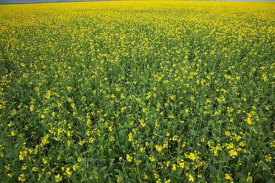 《命运2：终焉之形》成今年M站评分并列第一作品